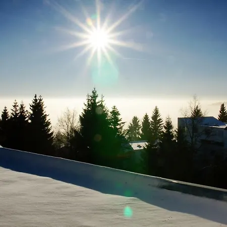 Alpenblick Apartment